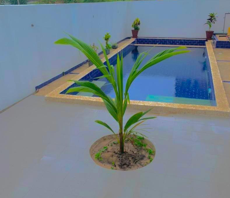 Chez Rama Bed and Breakfast Somone Εξωτερικό φωτογραφία